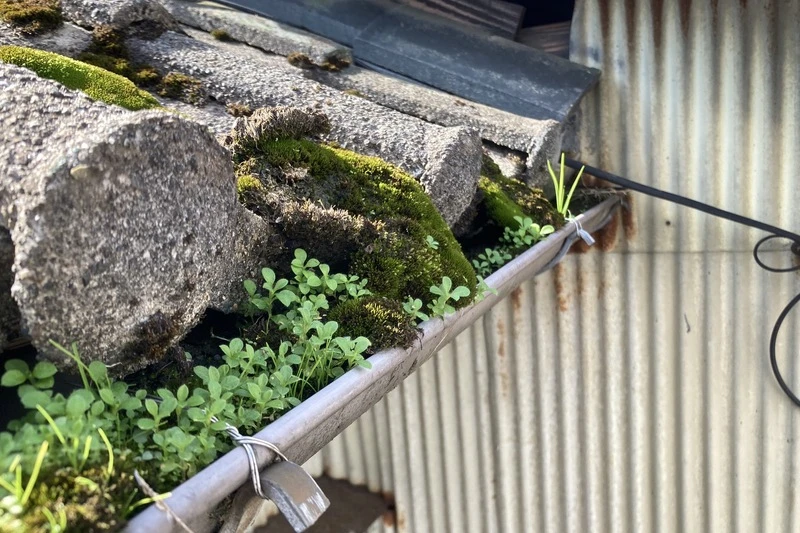 施工事例